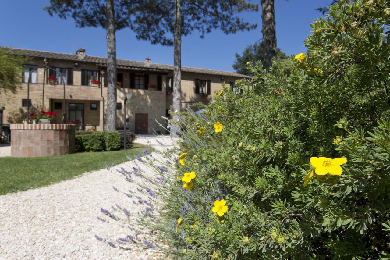 Casale San Galgano Aparthotel Chiusdino Exteriör bild